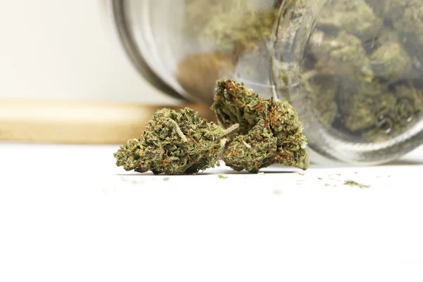 Marihuana o Cannabis Buds — Foto de Stock