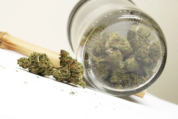 Marihuana oder Cannabisblüten — Stockfoto