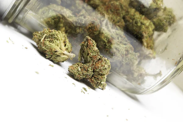 Marihuana oder Cannabisblüten — Stockfoto