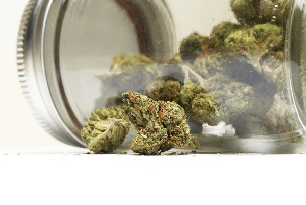Marijuana o germogli di cannabis — Foto Stock