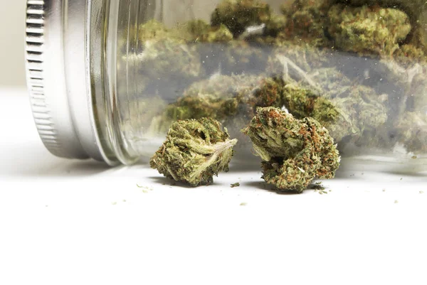 Marihuana of Cannabis toppen — Stockfoto