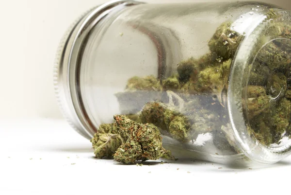 Maconha ou Cannabis Buds — Fotografia de Stock