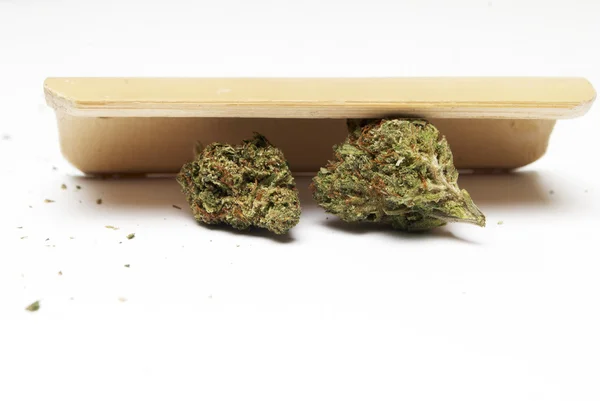 Marijuana or Cannabis Buds — Stock Photo, Image