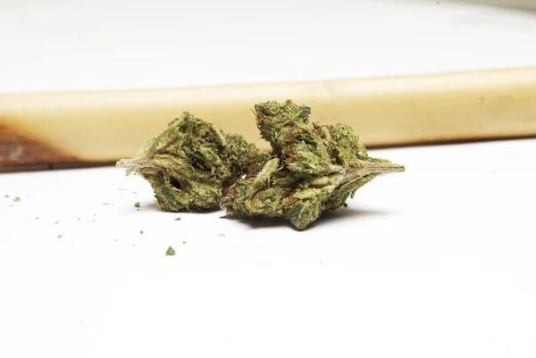Marijuana eller Cannabis knoppar — Stockfoto