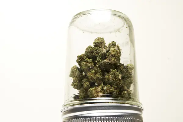 Marihuana of Cannabis toppen — Stockfoto