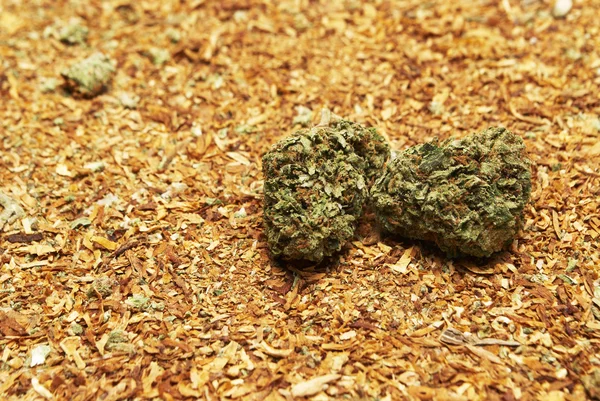 Marijuana și tutunul — Fotografie, imagine de stoc
