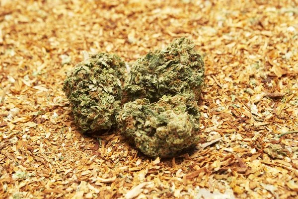 Marihuana i tytoniu — Zdjęcie stockowe