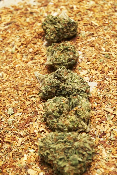 Marihuana y tabaco — Foto de Stock