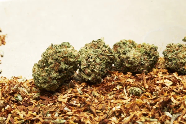 Marijuana och tobak — Stockfoto