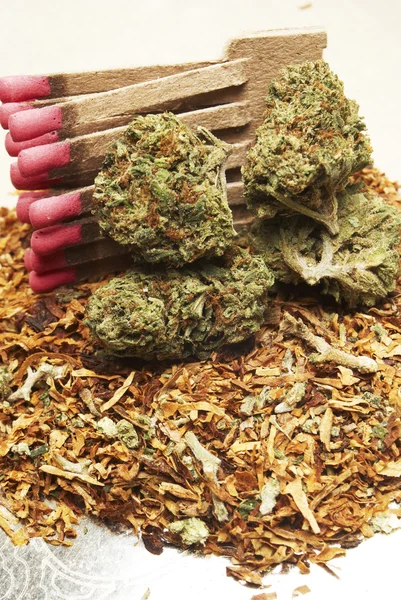 Marijuana och tobak — Stockfoto