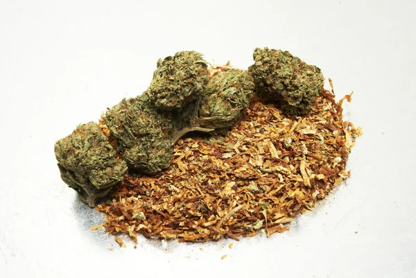 Marihuana und Tabak — Stockfoto