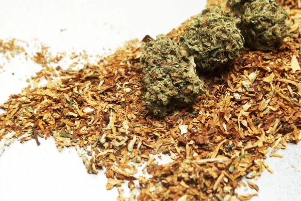 Марихуана и табак — стоковое фото