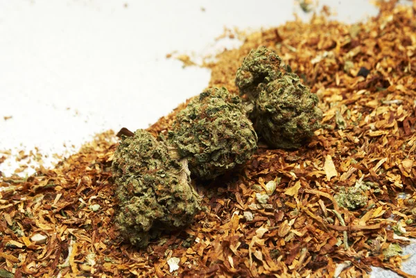 Marihuana a tabák — Stock fotografie