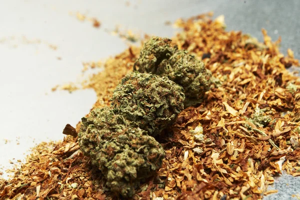 Marihuana a tabák — Stock fotografie
