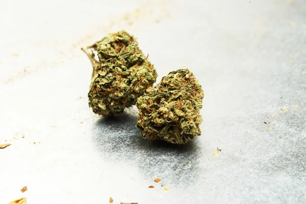 Marijuana, Cannabis, ogräs eller kruka — Stockfoto