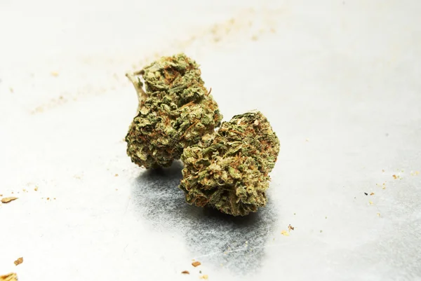 Marihuana, Cannabis, onkruid of Pot — Stockfoto