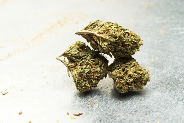 Marihuana, Cannabis, Hierba o Maceta —  Fotos de Stock