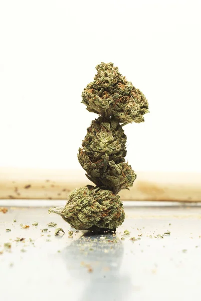 Marijuana, Cannabis, erba o erba — Foto Stock