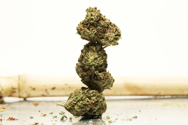 Marijuana, Cannabis, ogräs eller kruka — Stockfoto