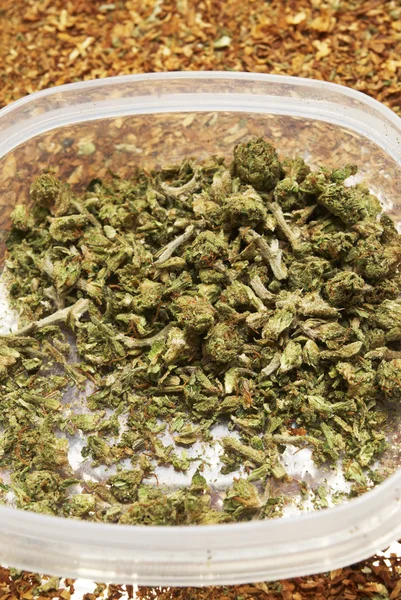 Marijuana legală Bud Cannabis Pot sau buruieni — Fotografie, imagine de stoc