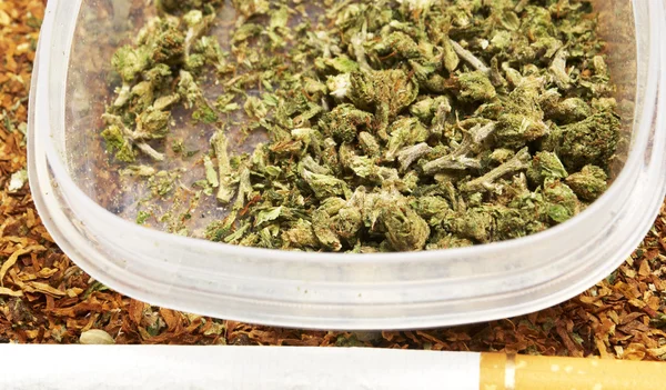 Marihuana legal Bud Cannabis Pot or Weed —  Fotos de Stock