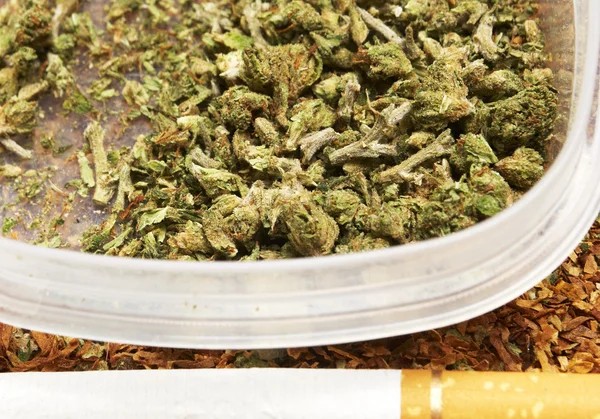 Wettelijke marihuana Bud Cannabis Pot of onkruid — Stockfoto