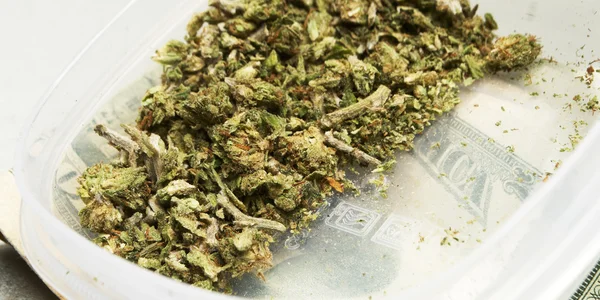 Marihuana legal Bud Cannabis Pot or Weed — Foto de Stock