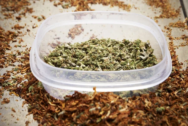 法的なマリファナの芽大麻ポットや雑草 — ストック写真