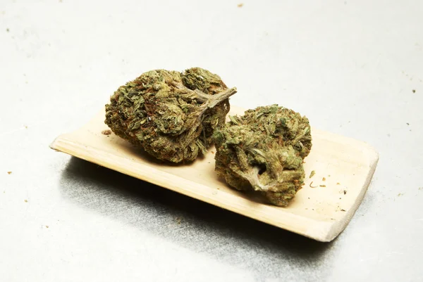 Legal Marijuana Bud Cannabis Pot or Weed — Stock Photo, Image