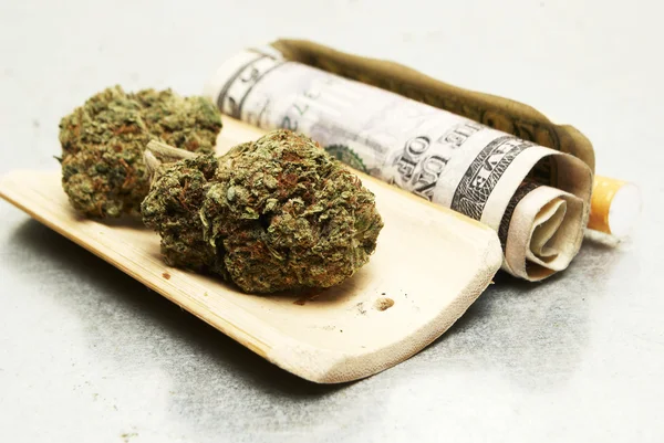 Maconha Legal Bud Cannabis Pot ou erva daninha — Fotografia de Stock