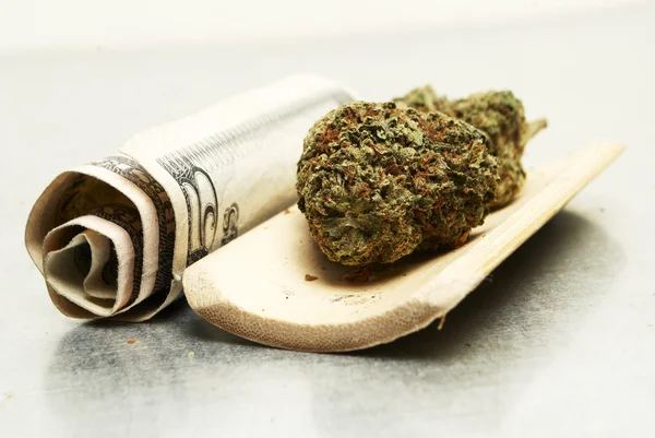 Legal Marijuana Bud Cannabis Pot or Weed — Stock Photo, Image