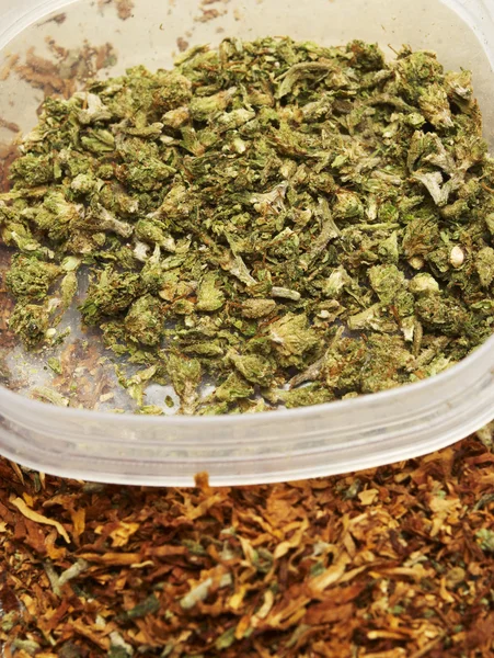 法的なマリファナの芽大麻ポットや雑草 — ストック写真