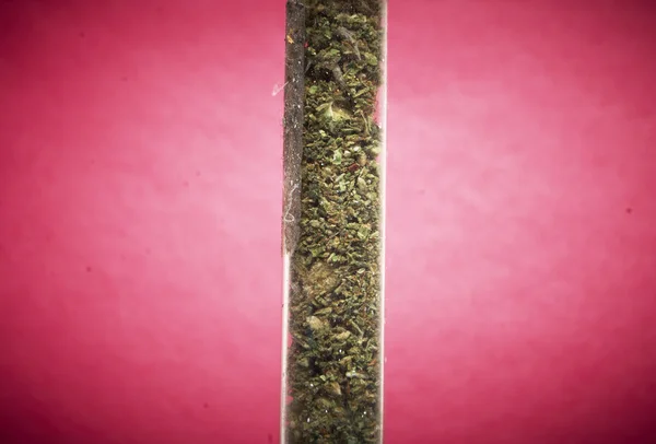 法律大麻芽大麻锅或杂草 — 图库照片