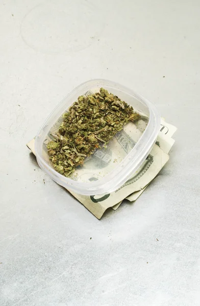 Maconha Legal Bud Cannabis Pot ou erva daninha — Fotografia de Stock