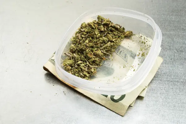 法律大麻芽大麻锅或杂草 — 图库照片