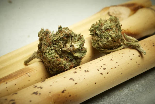 Legales Marihuana Knospe Cannabis Topf oder Unkraut — Stockfoto