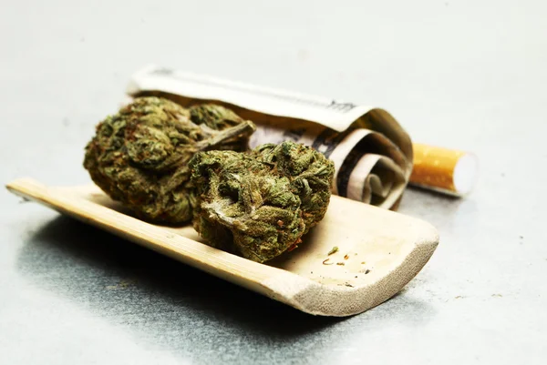 Legal Marijuana Bud Cannabis Pot or Weed — Stock Photo, Image