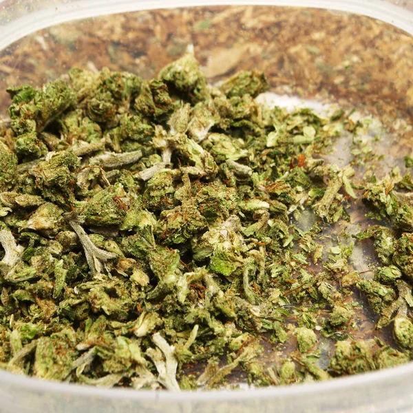 Νομική μαριχουάνα οφθαλμό κάνναβης δοχείο ή ζιζανίων — Φωτογραφία Αρχείου