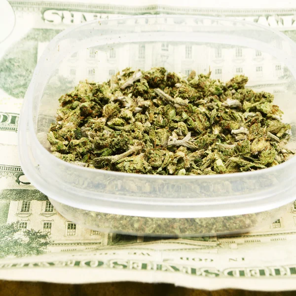 Legal Marijuana Bud Cannabis Pot or Weed — Stock Photo, Image