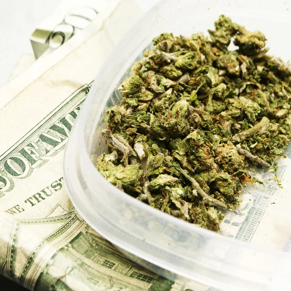 Marihuana legal Bud Cannabis Pot or Weed — Foto de Stock