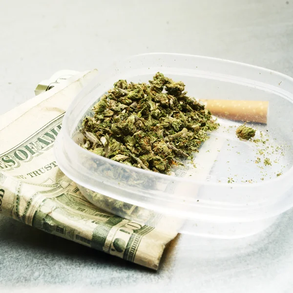 Legal Marijuana Bud Cannabis Pot or Weed — Stock Photo, Image