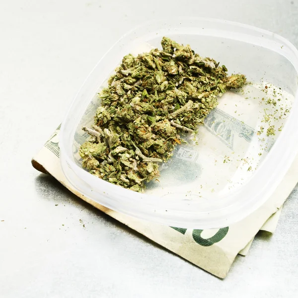 Legal Marijuana Bud Cannabis Pot or Weed — Stock Photo, Image