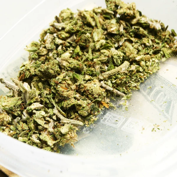 Wettelijke marihuana Bud Cannabis Pot of onkruid — Stockfoto