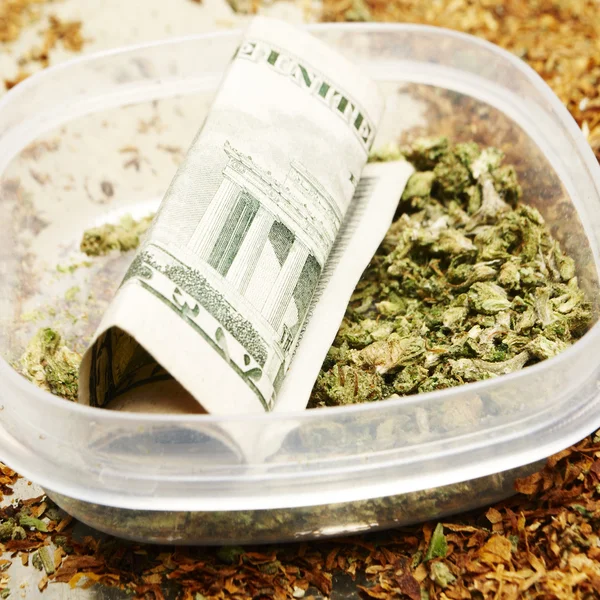 Legal Marijuana Bud Cannabis Pot or Weed — Stock Photo, Image