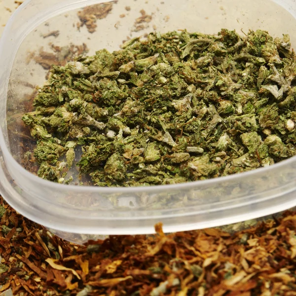 Marihuana legal Bud Cannabis Pot or Weed — Foto de Stock