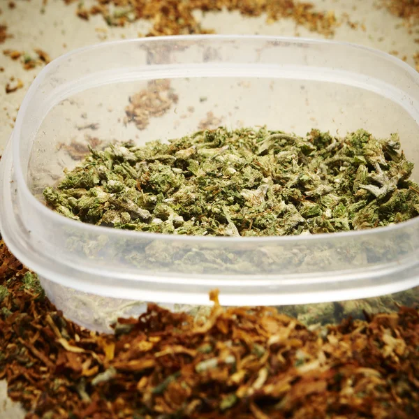 Wettelijke marihuana Bud Cannabis Pot of onkruid — Stockfoto