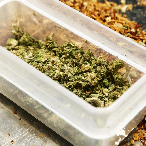 Marihuana legalna marihuana Bud puli lub chwastów — Zdjęcie stockowe