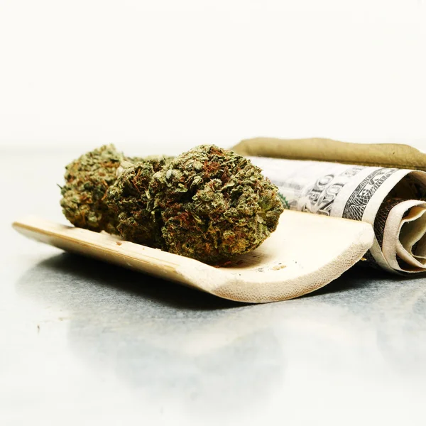 Правові марихуана Каннабіс Bud горщик або бур'ян — стокове фото