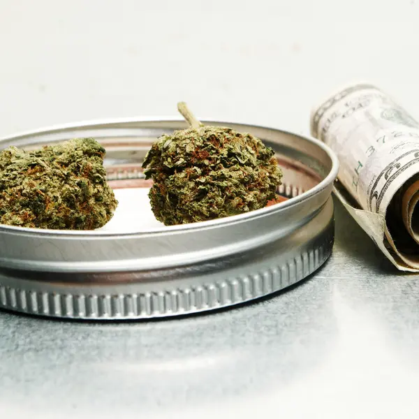 Legal Marijuana Bud Cannabis Pot or Weed — Stock Photo, Image