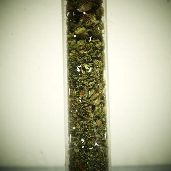 Jogi marihuána Bud Cannabis Pot vagy a gyom — Stock Fotó